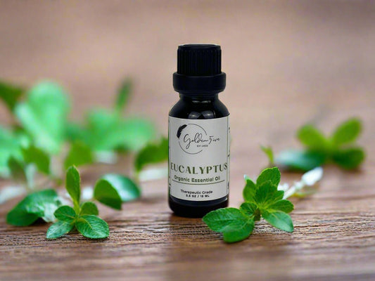 Eucalyptus Organic Essential Oil